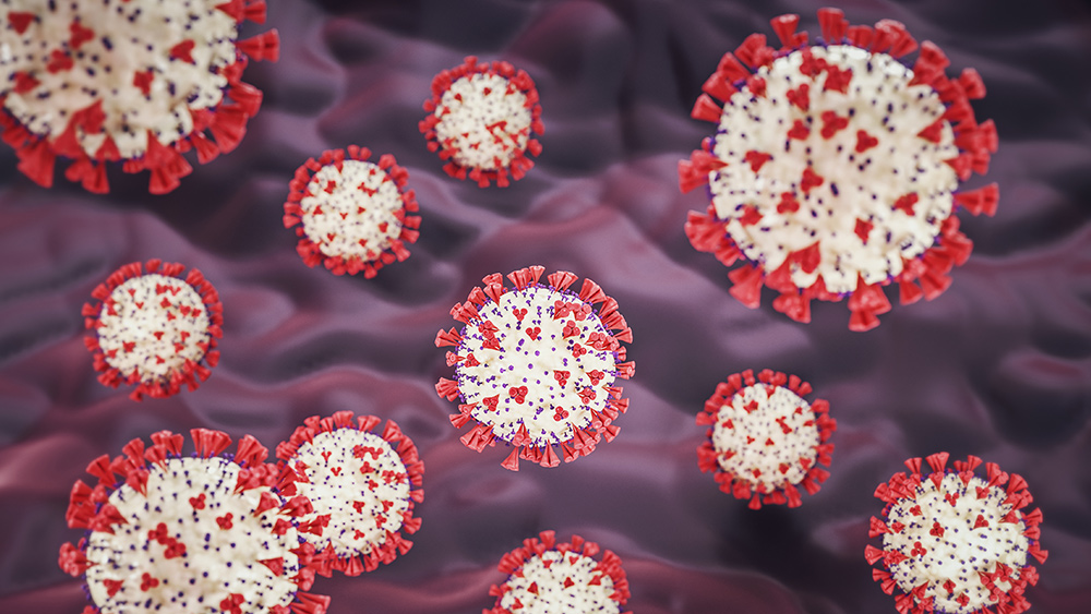 Image: Patients with certain cancers found to be at higher risk of death from coronavirus