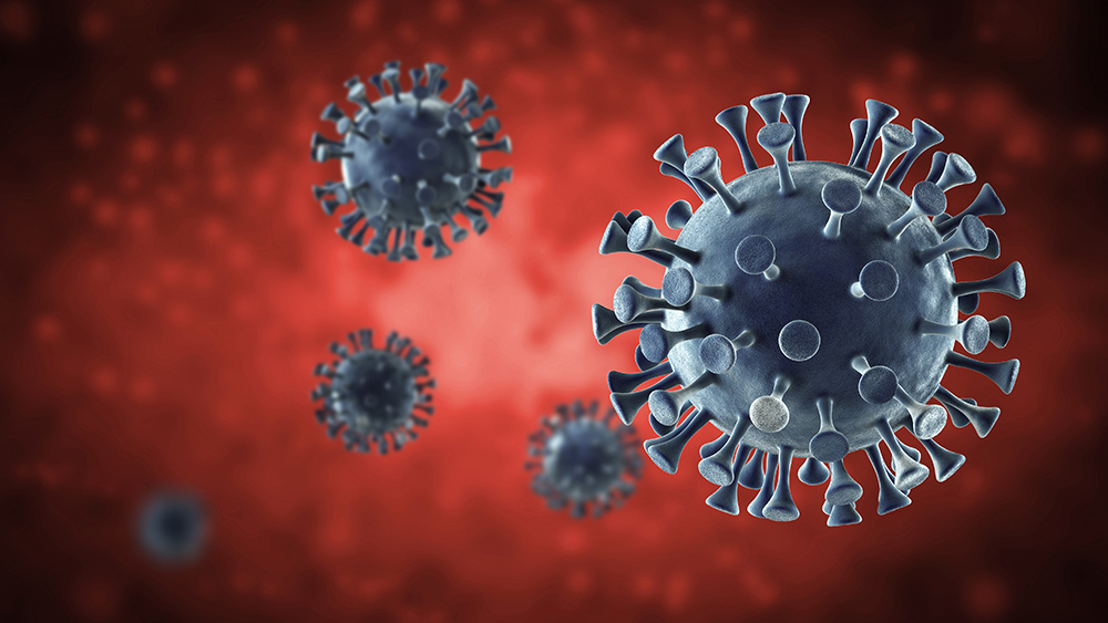 Image: The Dutch are starting to develop antibodies against coronavirus, says new study