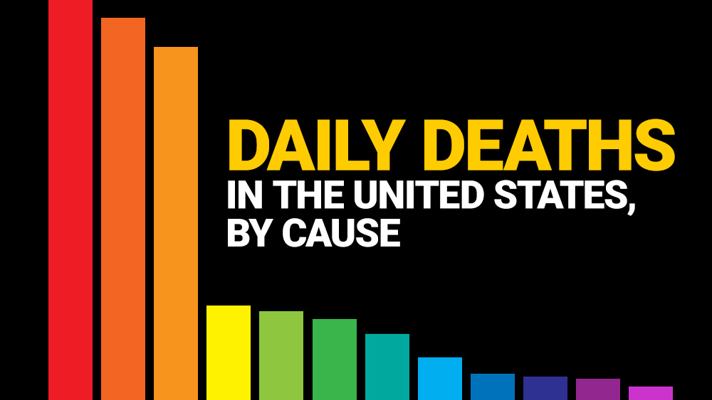 Image: Infographic: Daily deaths in the United States, by cause – covid-19, seasonal flu, heart disease, cancer, accidents and more