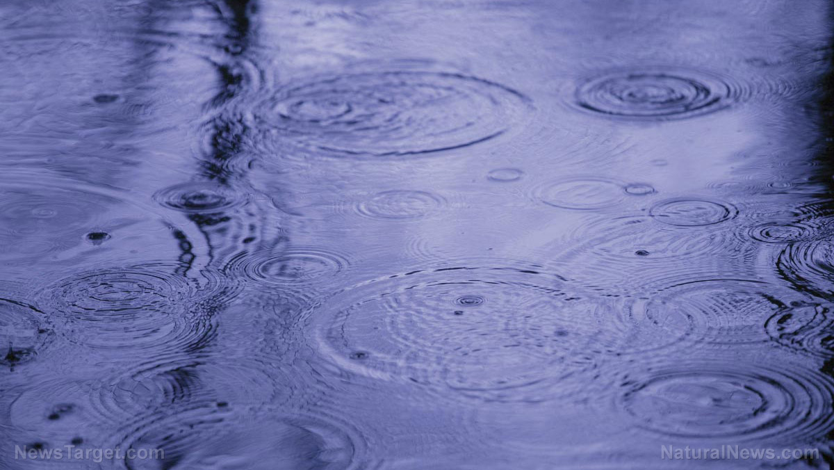Image: Safety first: Top 8 mistakes to avoid when harvesting rainwater