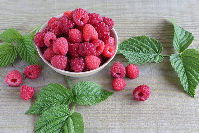 Image: Raspberry fruit extract found to lower weight gain and increase ambulatory activity