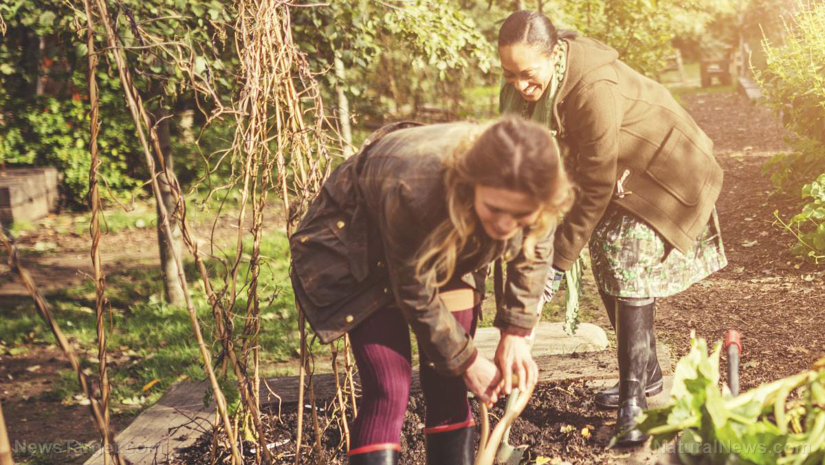 Image: Study suggests gardening helps promote mental health, positive body image
