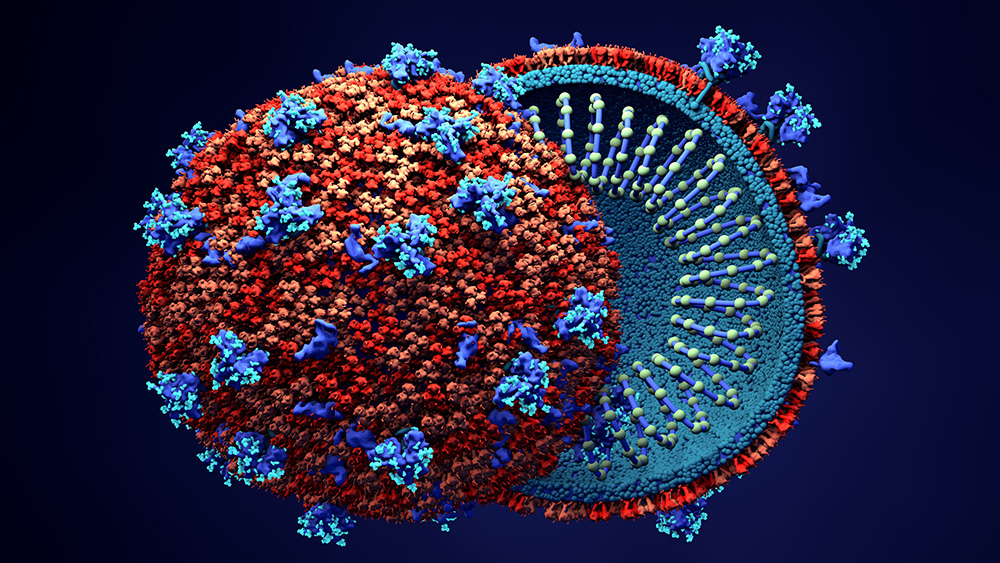 Image: Chinese bioweapon? Study pegs coronavirus as “uniquely adapted human pathogen”