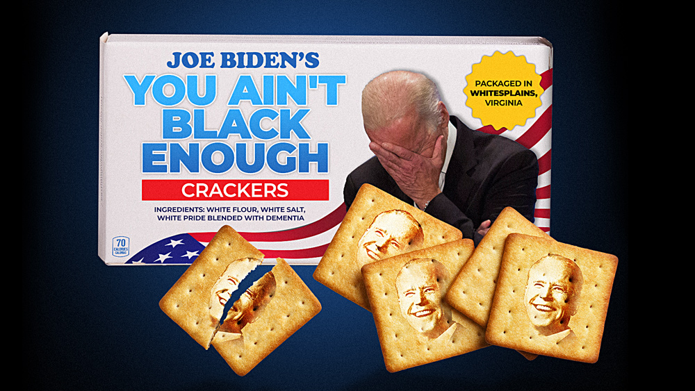 [Image: Joe-Biden-you-aint-black-enough-Crackers.jpg]
