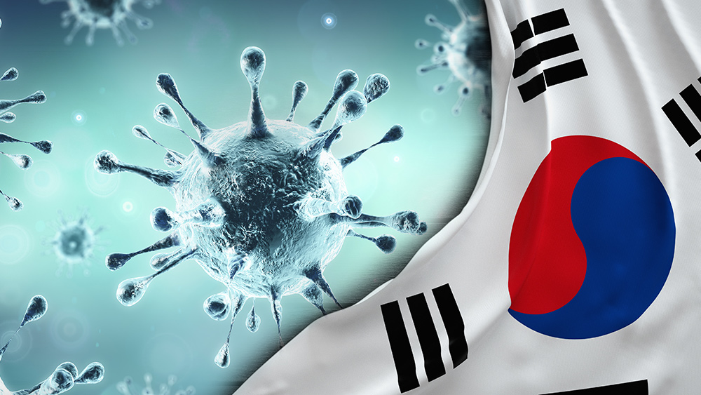 Image: South Korea’s CDC says recovered coronavirus patients aren’t contagious, as country grapples with another surge of new cases