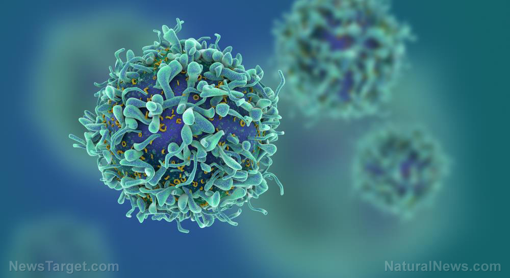 Image: Researchers develop “controlled” viruses capable of destroying tumors