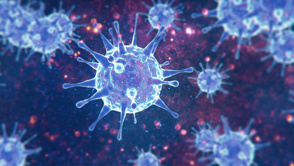 Image: Coronavirus will not be stopped by summer heat, study says