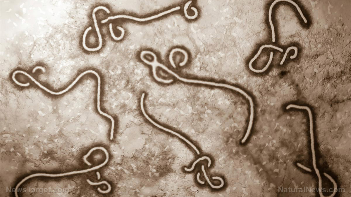Image: Congo declares new Ebola outbreak, 8 people now infected