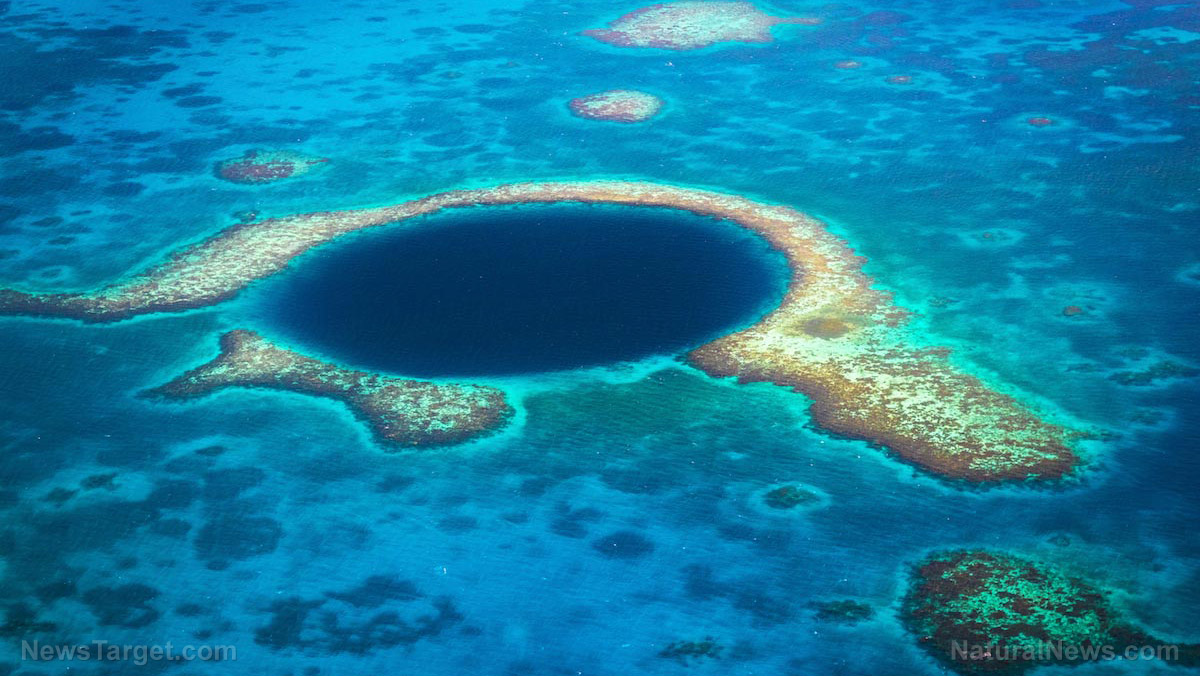 Image: Scientists to investigate mysterious underwater sinkhole off Florida coast