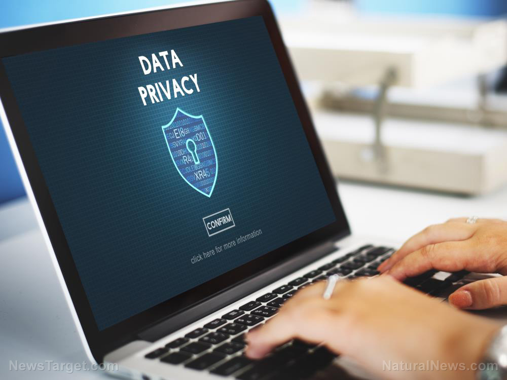 Image: Digital prepping: How to keep your personal data safe