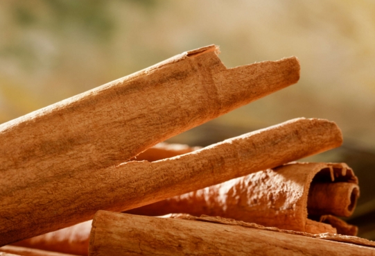 Image: Can cinnamon extracts help with diabetes and obesity?
