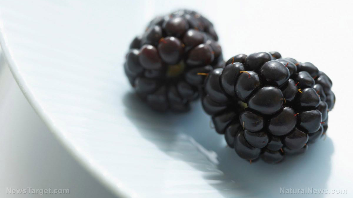 Image: Scientists eye blackberry polyphenols as potential cure for artery plaque buildup