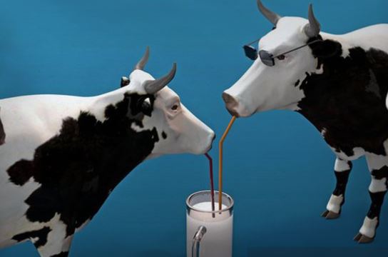 Image: Non-organic cow’s milk found to contain TOXIC chemicals like pesticides and growth hormones