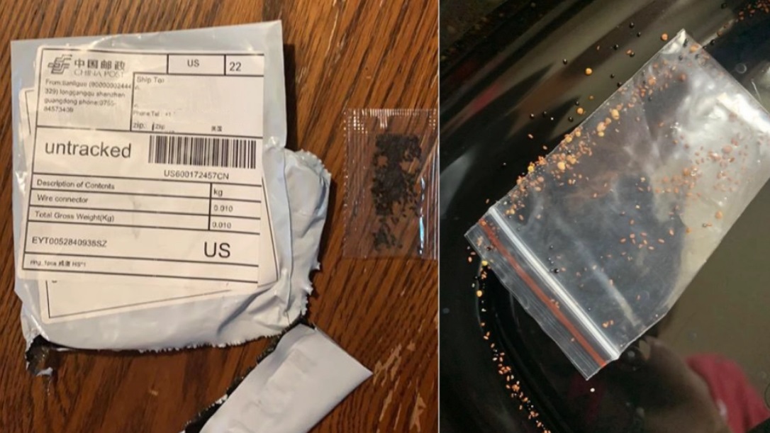 Image: SEED WARFARE? Seed packages that appear to be from China are flooding the USA; other similar packages contain fake US dollar currency or pandemic masks