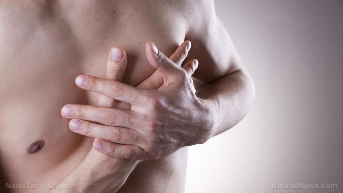Image: Vitamin E treatments can help prevent muscle damage after a heart attack, say scientists