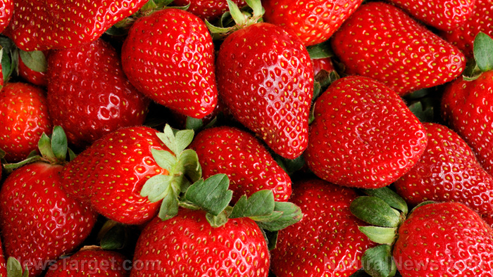 Image: Consuming more strawberries may help lower Alzheimer’s risk among the elderly