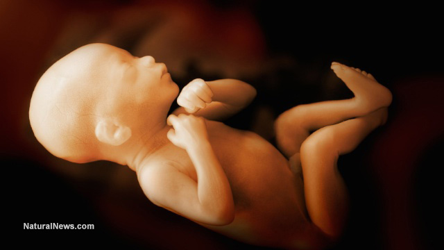 Image: President Trump will sign Born Alive executive order protecting babies who survive abortions