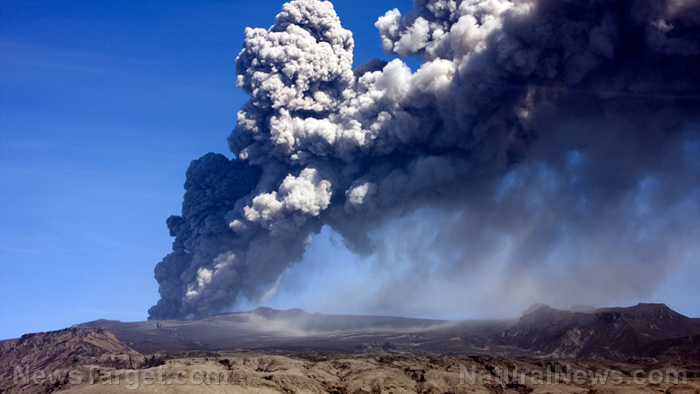 Image: Banana plantations buried in ash in Ecuador as volcano erupts