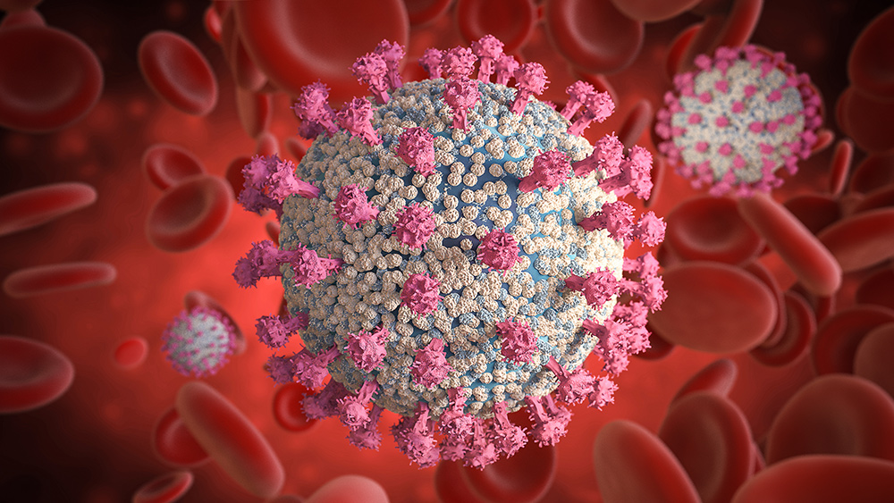 Image: Official coronavirus deaths worldwide surpass the 1 million mark
