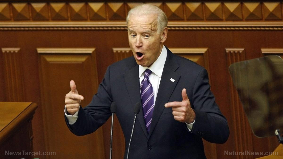 Image: Censoring the Biden story: How social media becomes state media