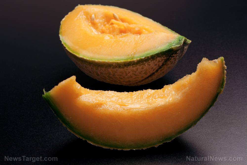Image: Nutritional profile, culinary uses and facts: What’s the difference between a cantaloupe and a honeydew melon?