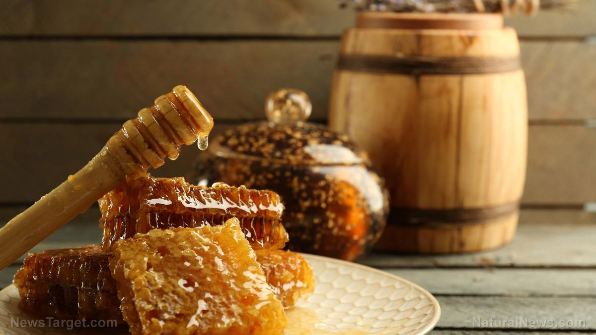 Image: Fight bacteria with this sweet superfood: 5 Incredible facts about honey