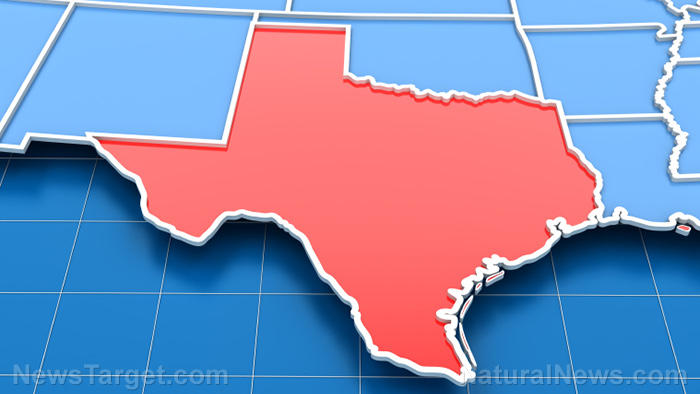 Image: Democrats hiring “ballot chasers” to turn Texas blue through massive organized FRAUD