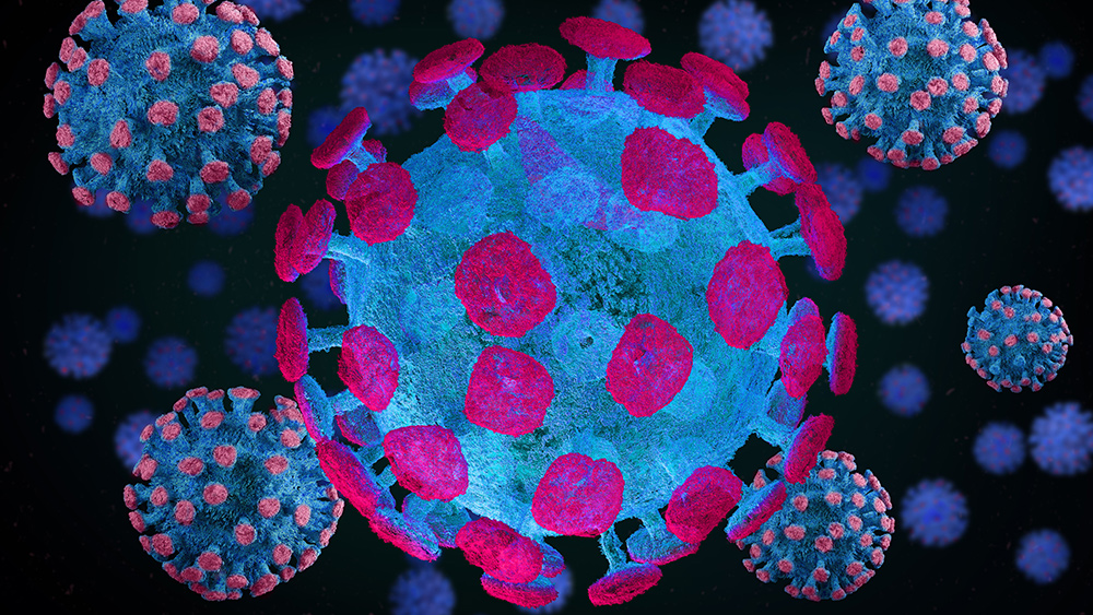 Image: Scientists find that the coronavirus has another doorway to infect human cells