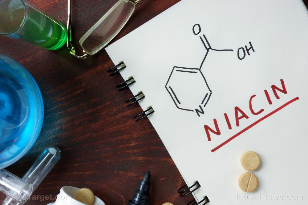 Image: Understanding how niacin treats high cholesterol levels