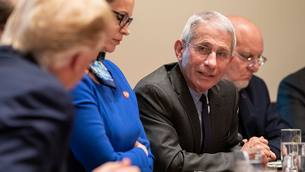 Image: Anthony Fauci lectures Americans over COVID-19: It spread because we have too much freedom