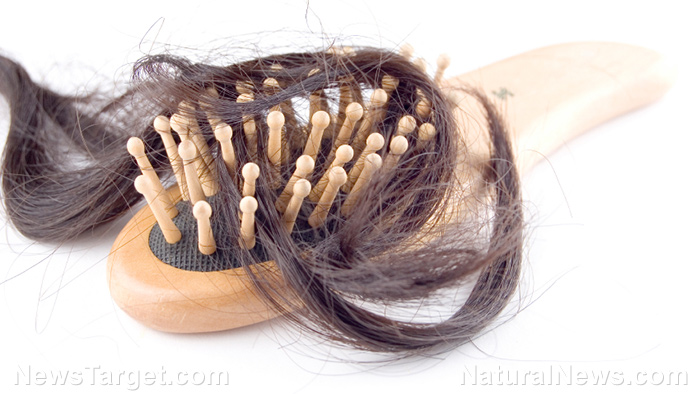 Image: Looking for a natural way to regrow hair? Try chaga mushrooms