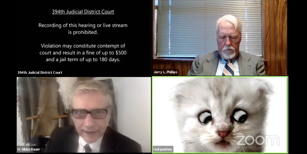 Image: REPORT: “Zoom cat lawyer” used federal resources to press bogus drug charges against ex-lover