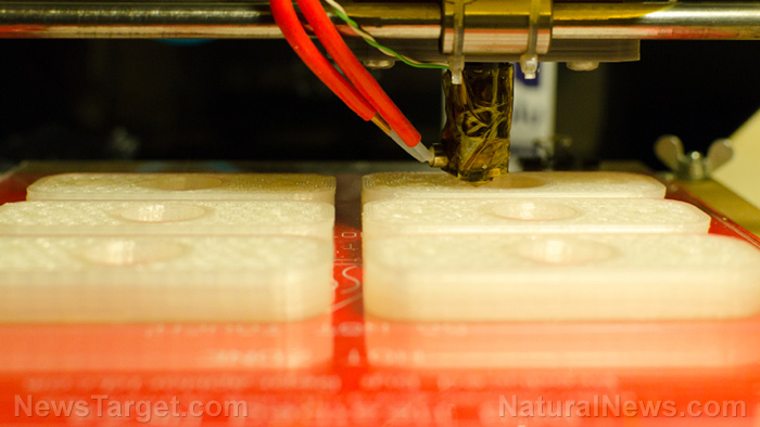 Image: Researchers to 3D-print living human pancreas for diabetes research
