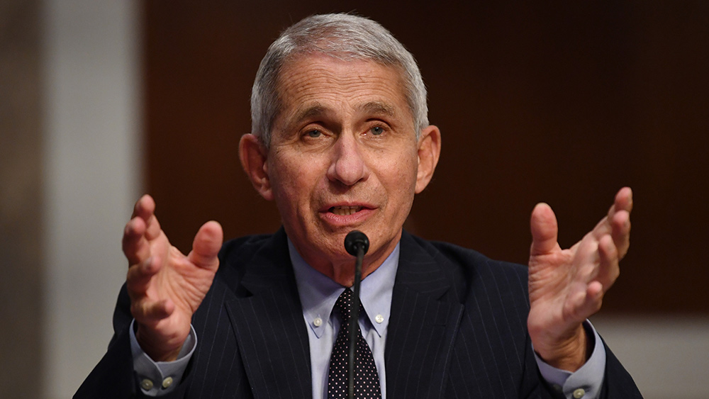 Image: Fauci admits there is no science behind a continued lockdown