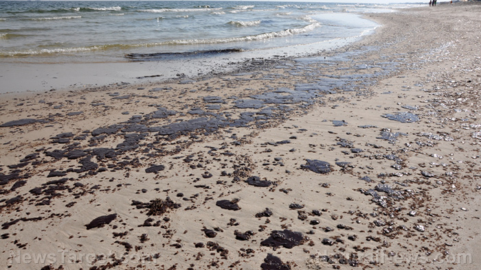 Image: Toxic tar globs litter Israel’s beaches due to massive oil spill