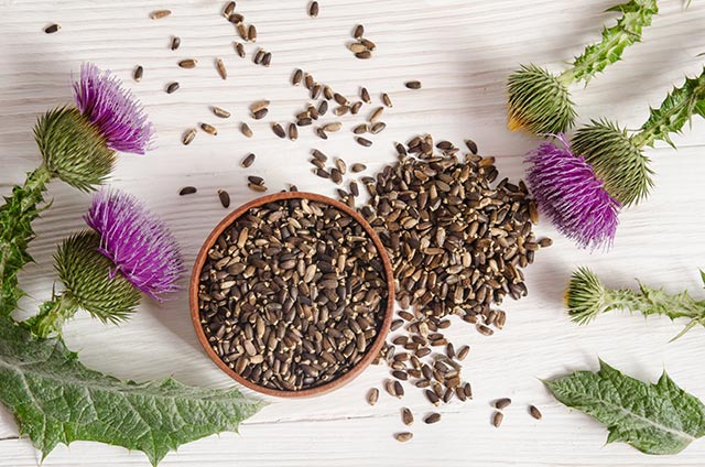 Image: Learn how to make milk thistle extract, the all-purpose remedy for preppers