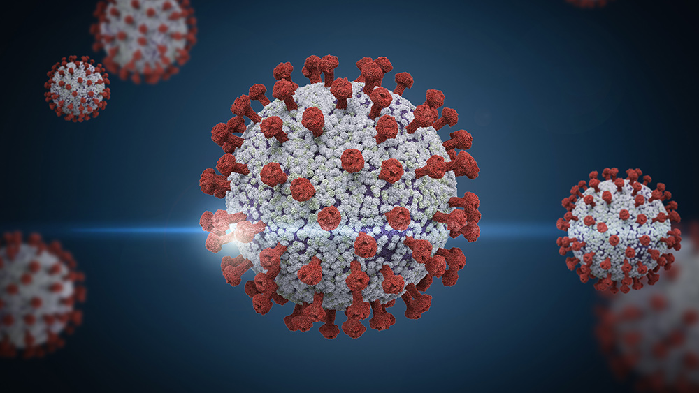 Image: Post-vaccine strain? Michigan reports first confirmed case linked to Brazilian P1 coronavirus variant