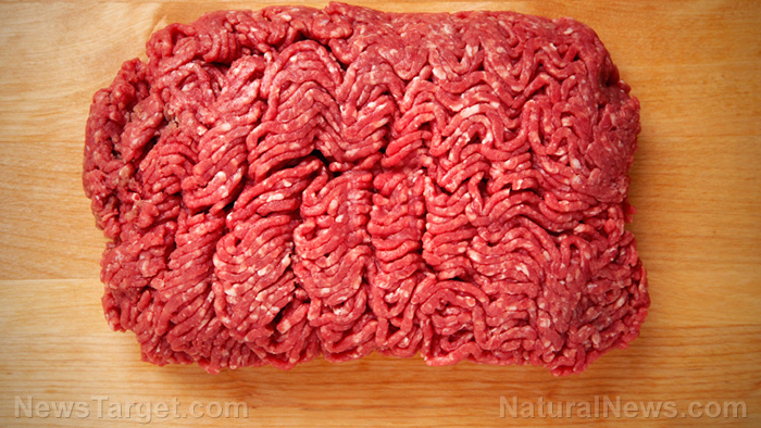 Image: About 50% of lamb mince sold in Australian supermarkets contains a dangerous parasite that may cause brain damage