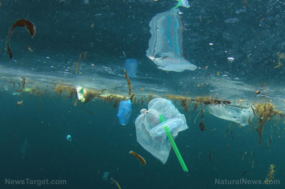 Image: Over four billion pieces of plastic are polluting a remote Pacific island