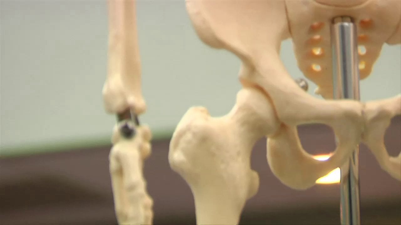 Image: Modern bone healing: Scientists design device that helps accelerate bone regeneration