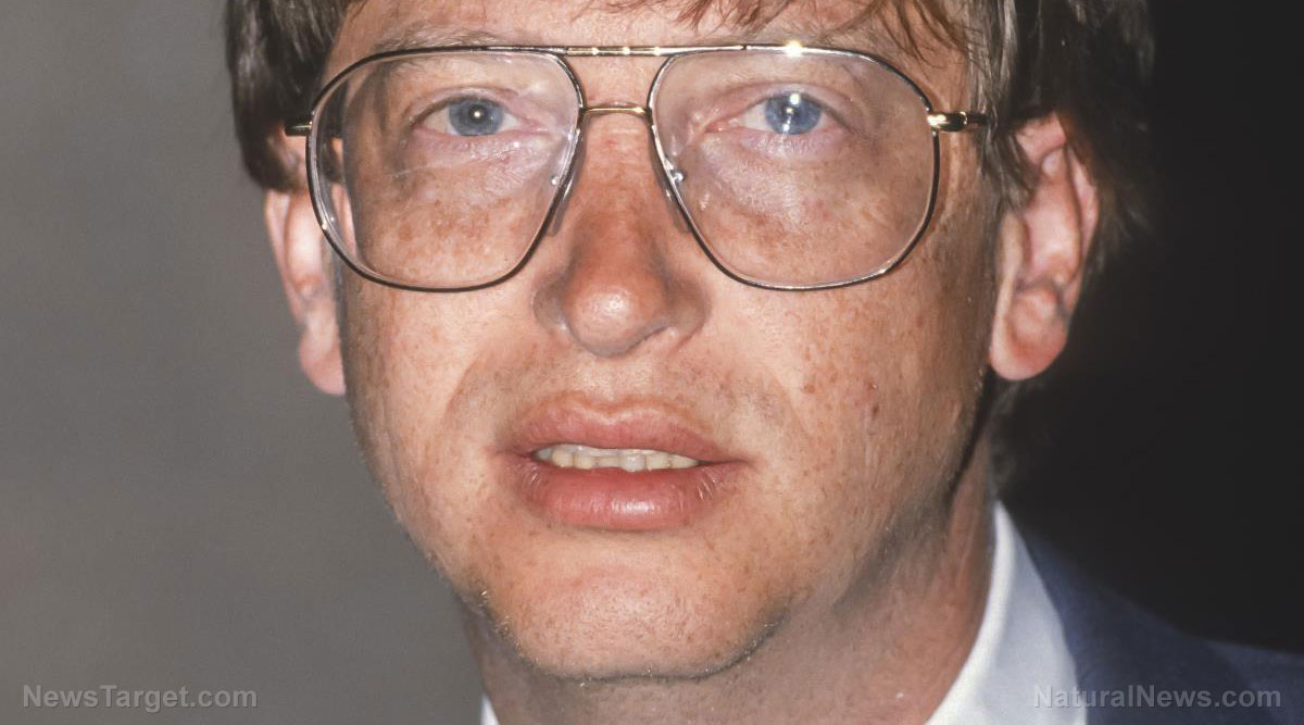 Image: ‘FILTHY PERVERT’: Bill Gates attended nude parties, hired sex workers and hung out with pedophile – sources claim