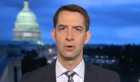 Image: Sen. Tom Cotton slams Fauci for covering his track on his links to Chinese virology laboratory