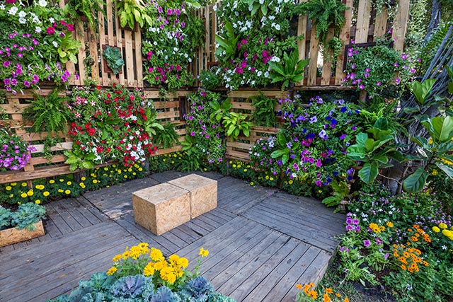 Image: 12 Budget-friendly tips for creating a beautiful garden