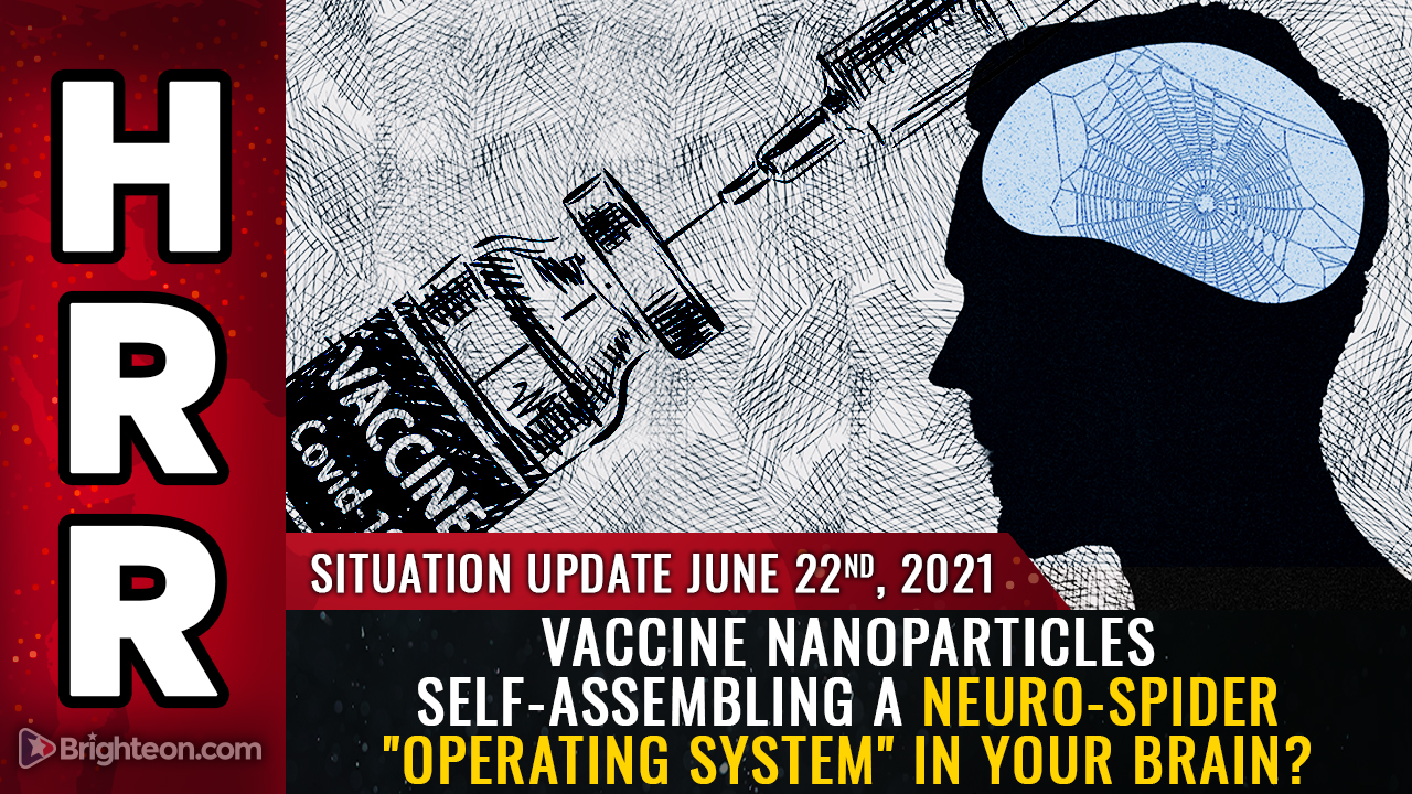 Image: Do covid vaccines contain nanoparticles that self-assemble to build a biocircuitry “operating system” to control your moods and thoughts?