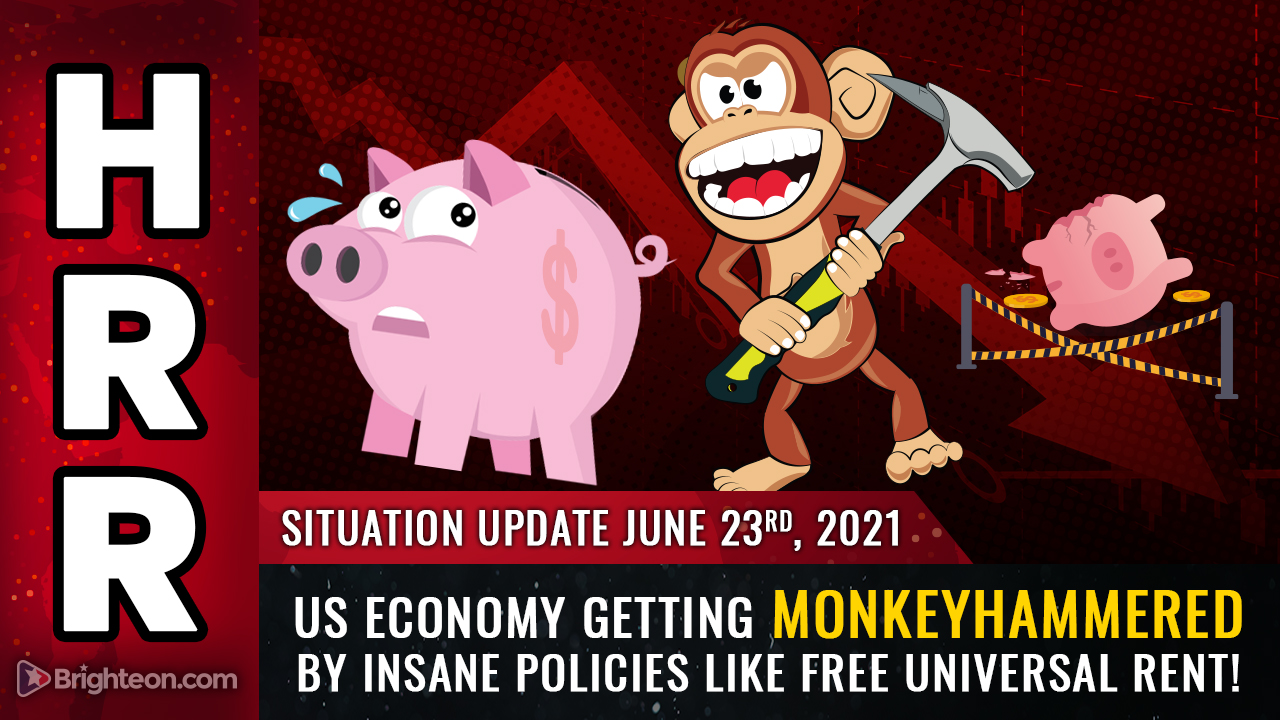 Image: US economy will get MONKEYHAMMERED by insane policies like free universal rent, now announced in California