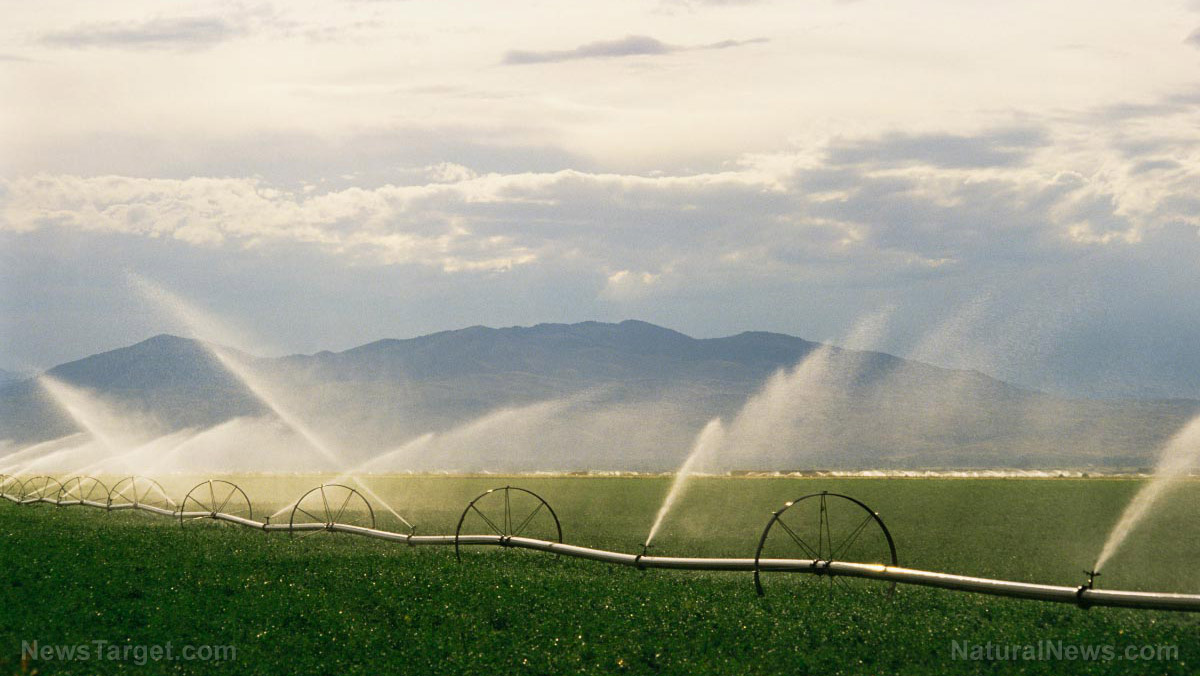 Image: American farmers say the federal government is stealing their water… and they’re going to fight to get it back