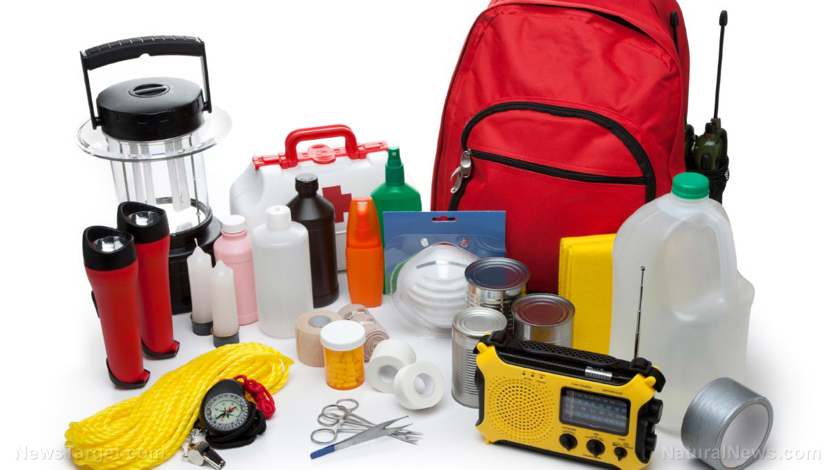 Image: 15 Items you should have in your emergency bag