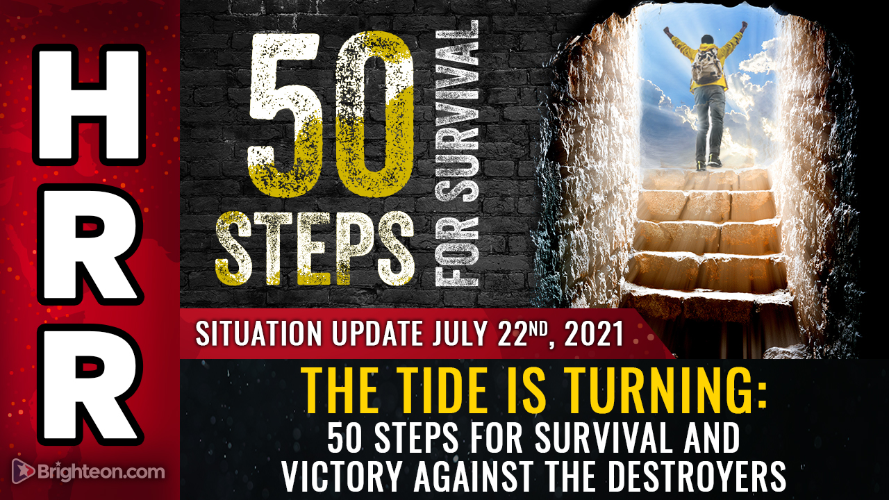 Image: The tide is turning: 50 steps for survival and VICTORY against the destroyers