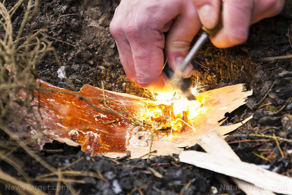 Image: Survival essentials: 6 Things to include in a survival fire starter kit