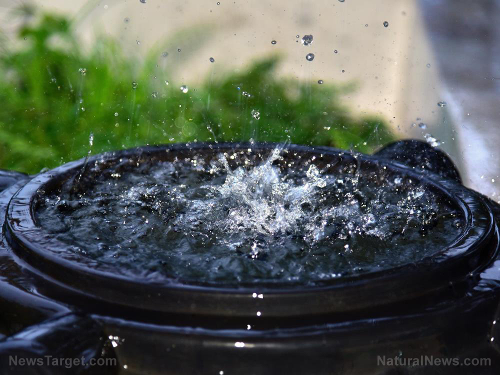 Image: Prepper projects: Setting up a rainwater shower at your homestead